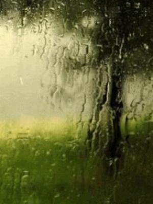 Animated Rain2.jpg Mixed